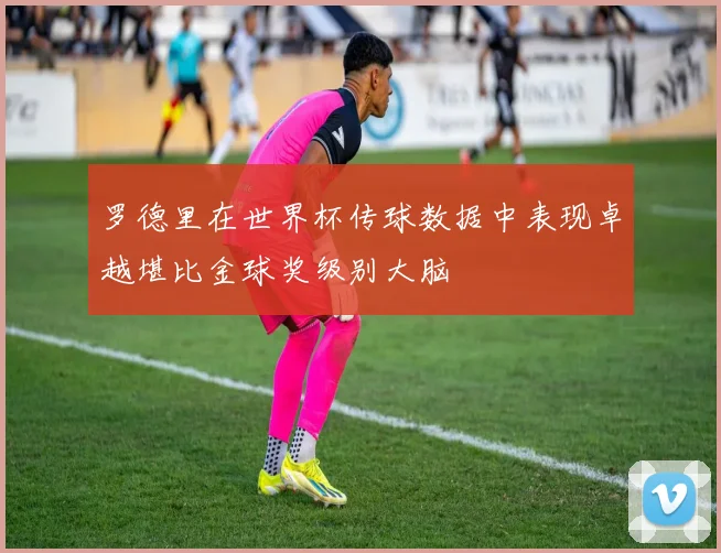 罗德里在世界杯传球数据中表现卓越堪比金球奖级别大脑